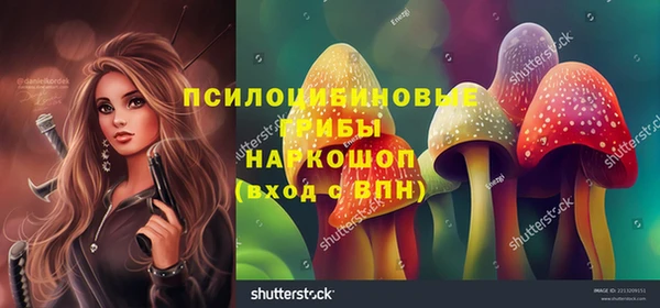 2c-b Абинск