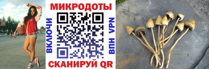 Галлюциногенные грибы прущие грибы  сколько стоит  Клинцы 