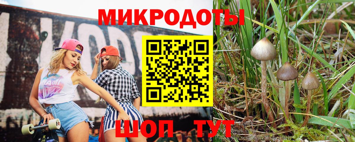 Клинцы  Псилоцибиновые грибы MAGIC MUSHROOMS  Вход с VPN 