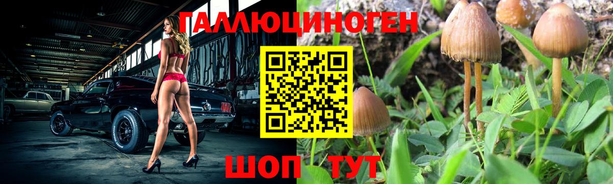 Галлюциногенные грибы мицелий Клинцы